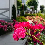 Villa Iduna Ferienwohnung No 8 - 2 Og Ohne Balkon